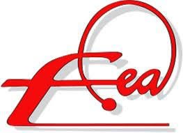 FEA LOGO