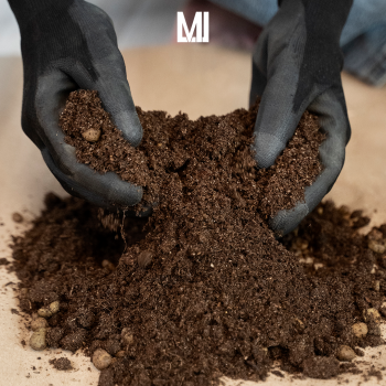 Análise de substrato: como prever o potencial energético antes de investir?