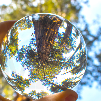 Biogás e crédito de carbono: o que o setor produtivo precisa entender agora para não perder oportunidades